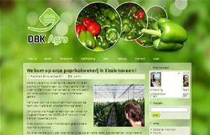 Website example 1