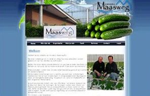 Website example 2